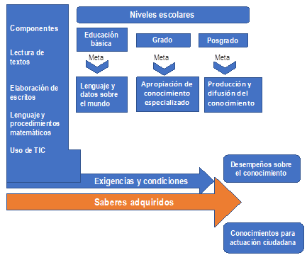 Alfabetización académica, evolución y fines de conocimiento