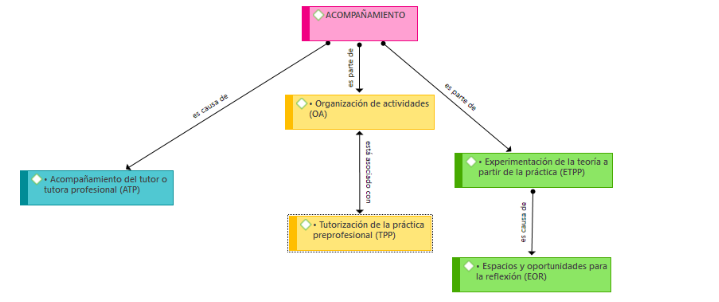 Proceso de acompa�amiento de la pr�ctica preprofesional, primer semestre 2020.