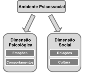 Dimens�es e elementos constitutivos do ambiente psicossocial tratados neste estudo.