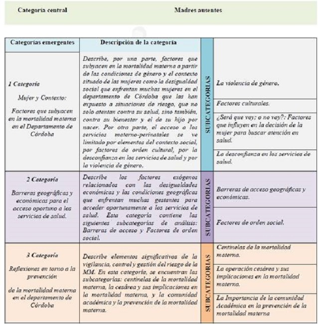 Categor&iacute;as Emergentes