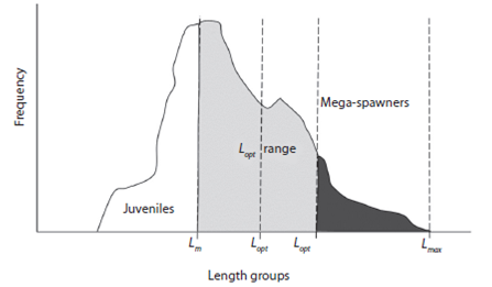 Relative position of size indicators in a given fish catch. Light gray color refers the L opt  range; dark gray color refers the Mega-spawners.