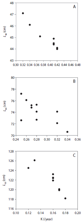 Relationship between jackknife estimates of Leo and K  for A) O. niloticus,  B) C. carpio  and C) C. gariepinus  from Lake Koka.
