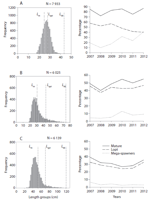 Size spectrum (left) and time series of size indicators (right) for A) O. niloticus,  B) C. carpio  and C) C. gariepinus  in Lake Koka.