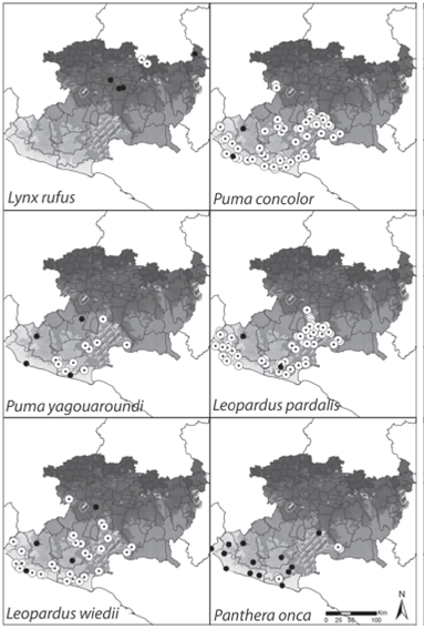 Distribuci&oacute;n geogr&aacute;fica de los registros de felinos obtenidos en este estudio. Los c&iacute;rculos negros corresponden a registros bibliogr&aacute;ficos y los c&iacute;rculos blancos a registros obtenidos durante el trabajo de campo reportado en este estudio. La escala de grises representa las cinco ecorregiones del estado, de norte a sur; Baj&iacute;o, Eje Neovolc&aacute;nico, Bajo Balsas, Sierra Madre del Sur y Costa.