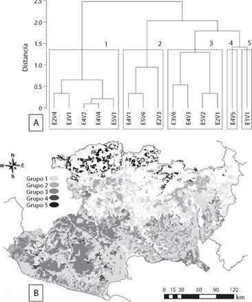 A) An&aacute;lisis de conglomerados que indica que se pueden distinguir cinco grupos de &aacute;reas con distintas combinaciones de cobertura vegetal y ecorregi&oacute;n, con base en los registros de c&aacute;mara-trampa obtenidos para las distintas especies (simbolog&iacute;a se detalla en m&eacute;todos). B) Localizaci&oacute;n dentro del &aacute;rea de estudio de los cinco grupos identificados.