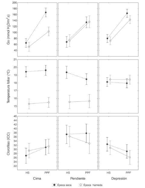 Incidencia y severidad de la PPF (P&eacute;rdida de Pubescencia Foliar) en individuos de E. paipana  ubicados en cima (A), pendiente (B) y depresi&oacute;n (C). En la izquierda se compara la incidencia de la PPF y de la herbivor&iacute;a por insectos a lo largo de nueve meses. En la derecha se muestra el avance de la severidad en el haz y el env&eacute;s de hojas de durante ocho meses de seguimiento. Las franjas sombreadas indican per&iacute;odos de cambios significativos en los porcentajes de incidencia y severidad.