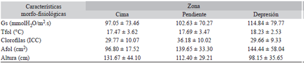Variaciones morfo-fisiol&oacute;gicas de E. paipana  entre zonas topogr&aacute;ficas  