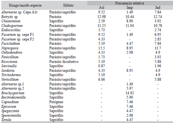 Hongos asociados a la p&eacute;rdida de pubescencia foliar (PPF) en E. paipana   