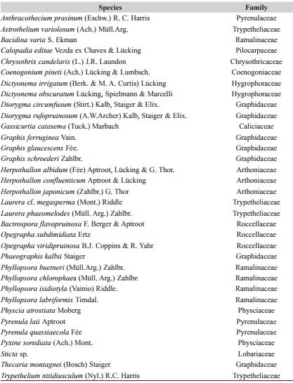 Records of nonvascular epiphytes