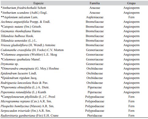 Records of epiphytes vascular plants