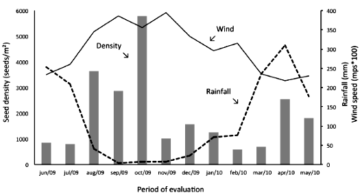 Monthly deposition of seeds (seeds/m2), rainfall (mm) and wind speed (mps*100) in the study area during the period from June/2009 to May/2010.