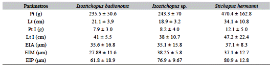 Valores promedio y desviación estándar de la morfometría del intestino de Isostichopus badionotus, Isostichopus  sp. y S. hermanni 