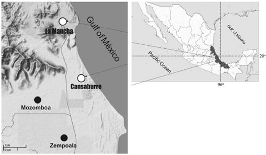 Location of the collection sites (empty circles).