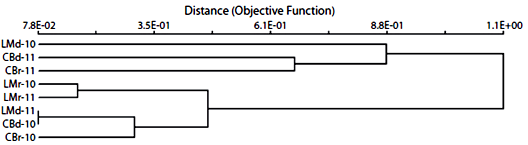 Faunal relationships among Odonata larval assemblages per site and season in La Mancha and Cansaburro generated from a Bray-Curtis similarity matrix and using the UPGMA amalgamation rule.