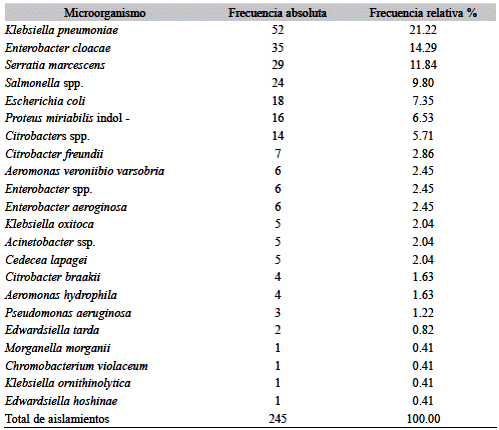 Número de aislamientos en frecuencia absoluta y relativa de microorganismos en tortugas amazónicas, PA-Brasil 2014