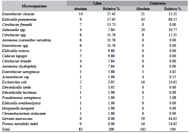 Microorganismos aislados de las tortugas P. expansa de vida libre y en cautiverio expresados en frecuencias absolutas y relativas, PA-Brasil 2014