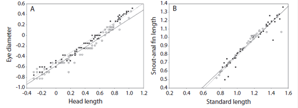 Body ratios obtained for Pachyurus bonariensis (■) and Plagioscion ternetzi (o) relative to head length: (A) eye diameter and body length: (B) snout-anal fin length.
