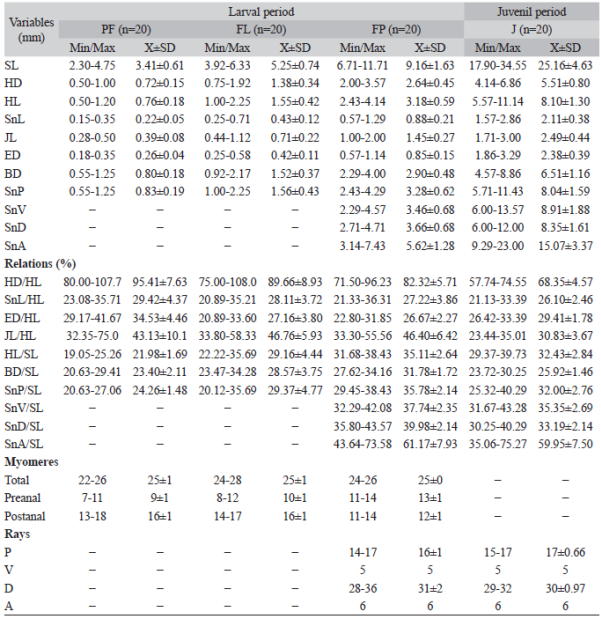 Minimum (Min), maximum (Max), mean (X) and standard deviation (SD) values for the length (mm) of the morphometric and meristic variables obtained for the larvae and juvenile Pachyurus bonariensis 