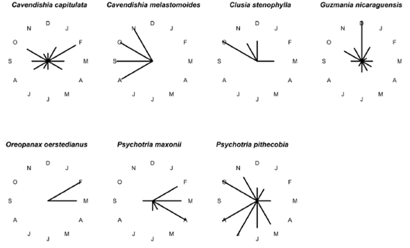 Circular histograms of flowering periods for seven epiphyte species over a 14-month period. Bars show percentage of individual plants in flower for every month of the year.