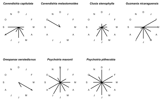 Circular histograms of fruiting periods for seven epiphyte species over a 14-month period. Bars show percentage of individual plants in fruit for every month of the year.