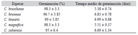 Porcentaje y tiempo medio de germinaci&oacute;n de semillas de Comanthera. Media &plusmn; desviaci&oacute;n est&aacute;ndar (Anova, P > 0.08)