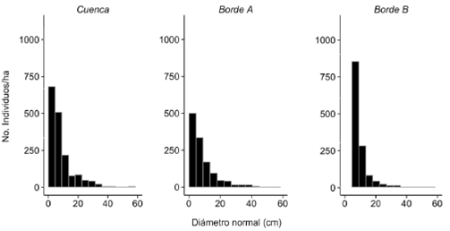 Estructura diamétrica de árboles con más de 2.5 cm de diámetro normal de tres manglares en la Bahía de Cispatá, Colombia