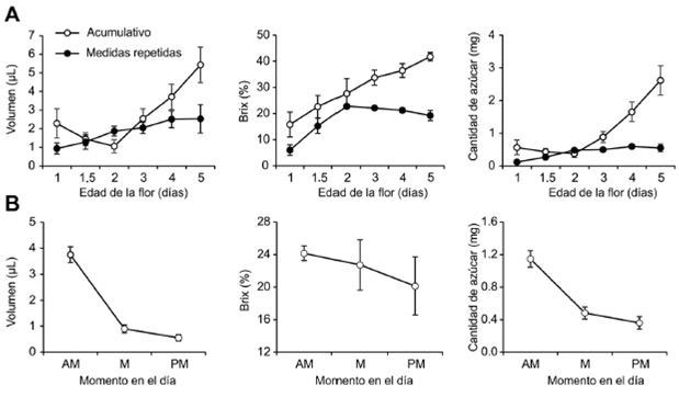 Volumen, concentraci&oacute;n y cantidad de az&uacute;car del n&eacute;ctar de Vaccinium meridionale en diferentes edades de la flor (A) y momentos del d&iacute;a (B). La producci&oacute;n de n&eacute;ctar se evalu&oacute; por dos m&eacute;todos: medidas repetidas (varias medidas del mismo grupo de flores) y acumulativo (cada medida en diferentes grupos de flores). Se presenta promedio (&plusmn; error est&aacute;ndar) 
