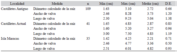 Datos biom&eacute;tricos de las valvas de C. rhizophorae analizadas por localidad incluyendo los di&aacute;metros de la ra&iacute;z y los rangos de tallas. Table 1: Biometric data of the leaflets of C. rhizophorae analyzed by locality including the root diameters and size ranges