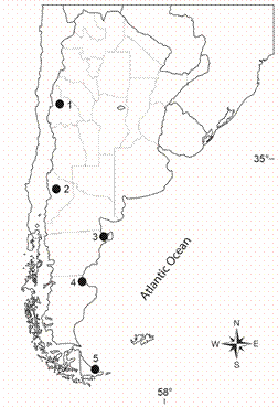 Localities mentioned in the text. 1. Jachal. 2. Pampa Tril. 3. Península Valdés. 4 Punta Maqueda. 5. Punta Torcida.