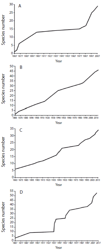Species accumulative curves for echinoderm species in the Southern Mexican Pacific. A) Asteroidea, B) Ophiuroidea, C) Echinoidea, D) Holothuroidea.