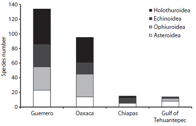 Number of species for each class of echinoderms from the Southern Mexican Pacific.