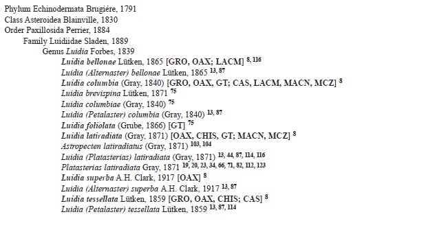 Checklist of valid names (in bold) and synonyms of the echinoderms from the Southern Mexican Pacific. Distribution in the Southern Mexican Pacific and museum records in brackets. Numbers following brackets refer to literature where the taxa were listed, see references section. For acronyms see material and methods section. All taxa are listed as originally reported in the literature