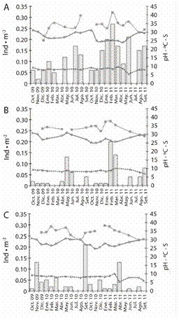 Monthly variation of the temperature (solid line with circles), salinity (discontinuous line with squares) and pH (discontinuous line with triangles), in relation with the population density (bars) of T. roseus from October 2009 to September 2011: A) Estacahuite, B) Dos Hermanas, C) Isla Cacaluta.