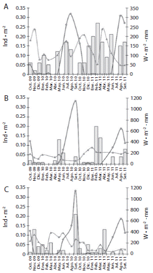 Variaci&oacute;n mensual de la precipitaci&oacute;n pluvial (l&iacute;nea s&oacute;lida con c&iacute;rculos) y la irradianza (l&iacute;nea discontinua con tri&aacute;ngulos), en relaci&oacute;n con la densidad poblacional (barras) de T. roseus de octubre 2009 a septiembre 2011: A) Estacahuite, B) Dos Hermanas, C) Isla Cacaluta. Fig. 4. Monthly variation of pluvial precipitation (solid line with circles) and irradiance (discontinuous line with triangles), in relation with the population density (bars) of T. roseus from October 2009 to September 2011: A) Estacahuite, B) Dos Hermanas, C) Isla Cacaluta.