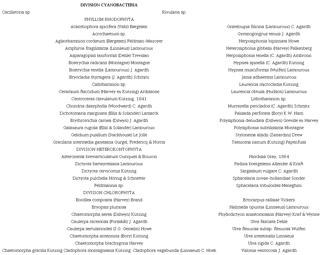 Inventario de macroalgas de la Ensenada de Turpialito