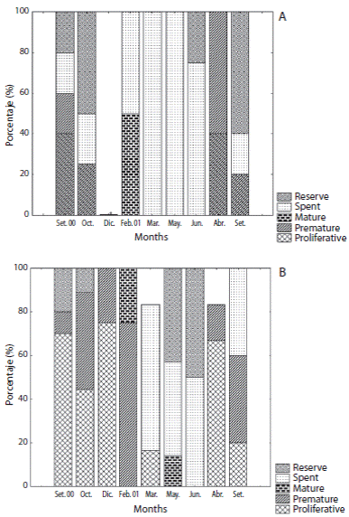 Percentage of gametogenic stages of L. variegatus. A: female; B: male.