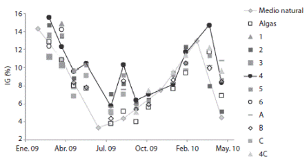 Evoluci&oacute;n del &iacute;ndice gonadal con diferentes dietas, en batea. Fig. 2. Evolution of gonadal index with different diets, punt.
