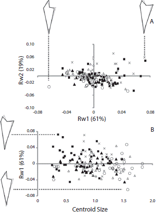 (A) Scatterplots of the first and second components of the relative warp analysis (RW1 and RW2 respectively) using jaw of Arbacia dufresnii and (B) of the centroid size and first component of the relative warp analysis. Filled squares correspond to individuals from the location Zona 39, filled triangles correspond to individuals from the location El Sótano, empty triangles correspond to individuals from the location Punta Tehuelche, empty circles correspond to individuals from the location Punta Cuevas, and crosses correspond to individuals from the location La Tranquera. In parenthesis is expressed the percentage of the total shape variation explained by each component or the relative warp analysis. On RW1 axis is represented the shape of jaw at the extremes values of the axis.