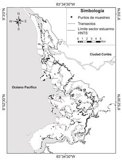 Distribution of transects and vegetation sampling points in the estuarine HNTS sector. ICE-PHED, field work 2008-2009.