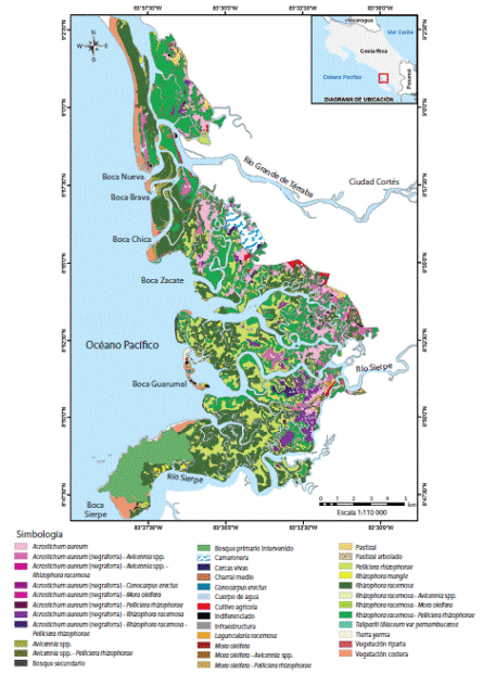 Distribuci&oacute;n de especies de mangle y otras coberturas vegetales en el sector estuarino del HNTS, 2005-2010. Fig. 5. Distribution of mangrove species and other vegetation coverage in the estuarine HNTS sector, 2005-2010.