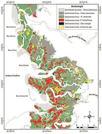 Asociaci&oacute;n espacial entre las especies de mangle y los sedimentos finos en el sector estuarino del HNTS. Fig. 7. Spatial association between mangrove species and fine sediments in the estuarine HNTS sector.