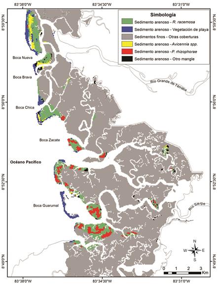 Asociaci&oacute;n espacial entre las especies de mangle y los sedimentos gruesos en el sector estuarino del HNTS. Fig. 8. Spatial association between mangrove species and coarse sediments in the estuarine HNTS sector.