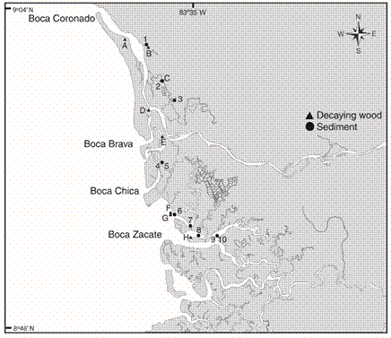 Sampling stations for sediment (1-10) and decaying wood (A-H), in the T&eacute;rraba mangrove, South Pacific of Costa Rica. July 2002 and July 2003. Sediment sampling date: 1=August 2002; 2, 3, 6 and 8=November 2002; 4=June 2002; 5=September 2002; 7=December 2002; 9 and 10=February 2003. Decaying wood sampling date: A=February 2003; B, D=November 2002; C=January 2003; E, F=October 2002; G=September 2002; H=August 2002.