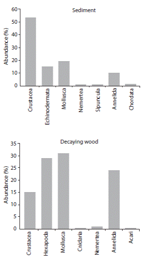 Percent of total abundance of the taxonomical groups by substrate. T&eacute;rraba mangrove, Costa Rica. 2002/2003.