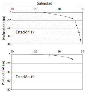 Salinity profile at the 17 and 19 sample stations during August 2009.