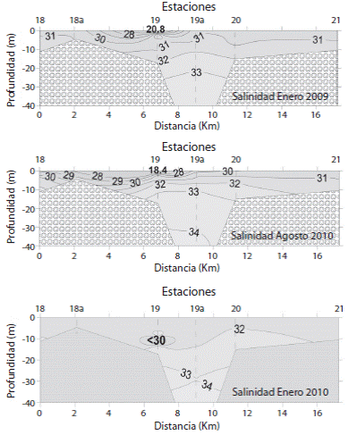 Salinity vertical distribution in the TC2 Transect during January 2009 (above), August 2009 (center) and January2010 (bottom).