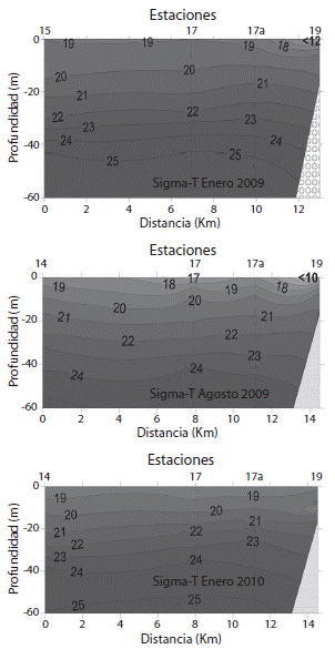 Vertical distribution of Sigma-T in the TC1 Transect during January 2009 (above), August 2009 (center) and January 2010 (bottom).