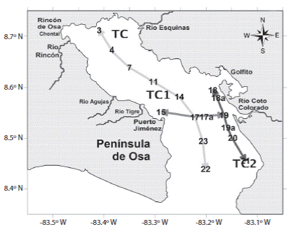 Transects where the vertical distribution of physical variables was analyzed. TC: Central Transect (from 3 to 22 sample station); TC1: Coto Transect 1 (from 15 to 19 sample station) TC2: Coto Transect 2 (from 18 to 21 sample station).