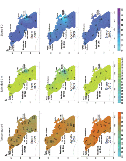 Distribution of temperature (°C, left column), salinity (middle column) and sigma-T (kg.m3, right column) at the surface during january 2009 (above), august 2009 (center) and january 2010 (bottom).