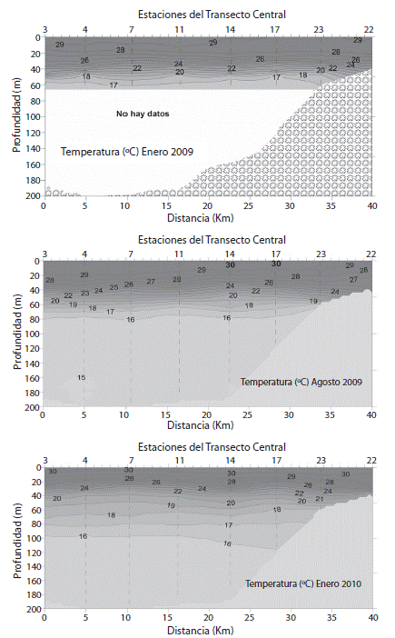 Temperature vertical distribution (°C) in the Center Transect during January 2009 (top), August 2009 (center) and January 2010 (bottom).